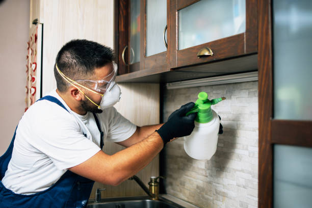 Pest Control Cost in Sebring, OH