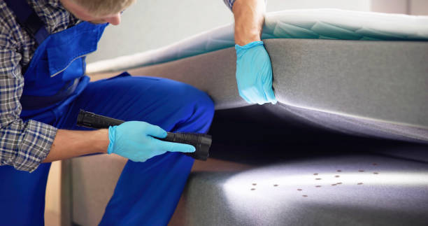 Best Termite Control Services  in Sebring, OH