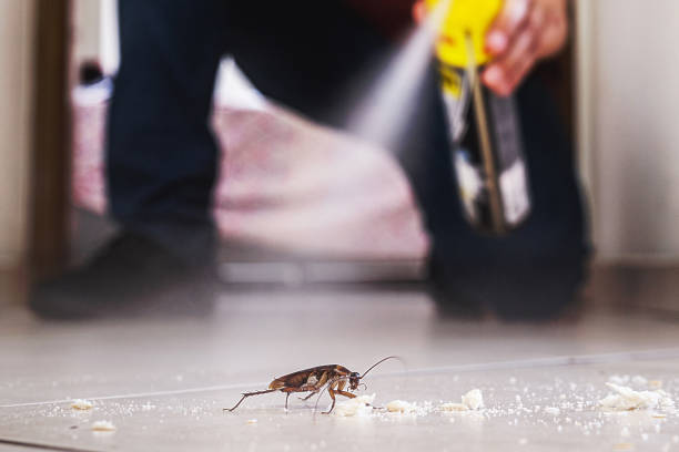 Pest Control for Restaurants in Sebring, OH