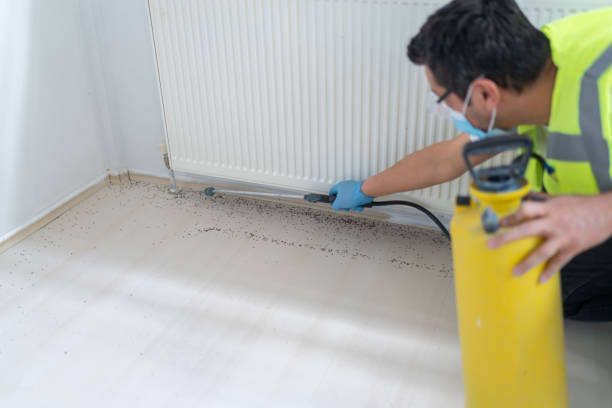 Best Pest Prevention Services  in Sebring, OH